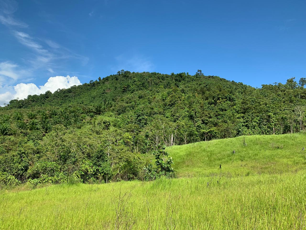 Potensi Desa Pemalongan